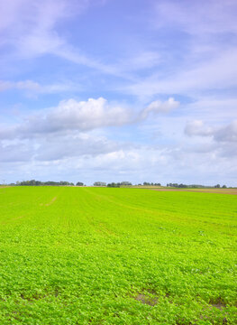 Photo of a farm field, selective focus.