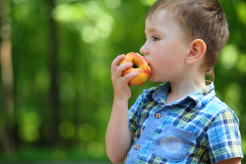 Portrait of little boy eating apple in summer park, shallow dof