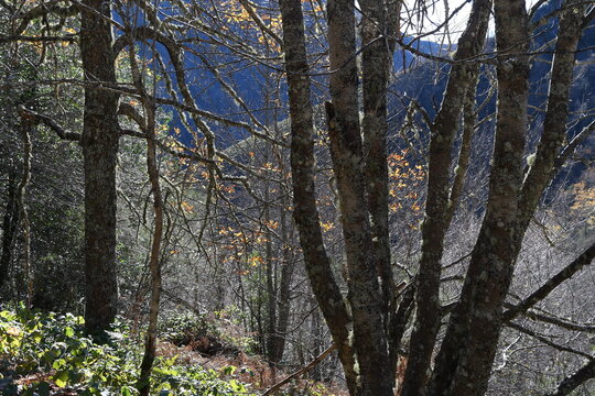 Paisaje de Cabanavella y sol de oto&ntilde;o
