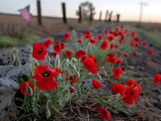 Obraz premium Honoring the Fallen: Evocative Visual Tributes with Red Poppies and Military Insignia