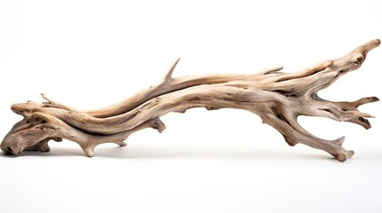 Beautiful winding driftwood for product photography. Grape branch on a table with beautiful sunlight, photo. High quality photo