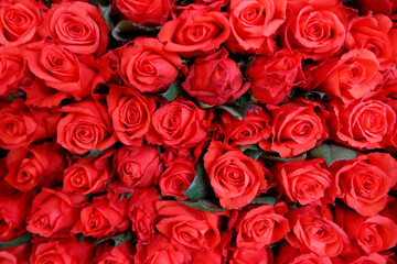 Bouquet of red roses. Valentines Day.