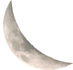 cute hand drawn drawing vector