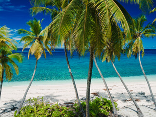 Tropical Maldives tropical beach on island. Travel vacation concept.