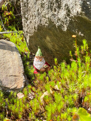 Gnome in moss surrounded by rock. Wood sprite hidden in the lichen of the forest.