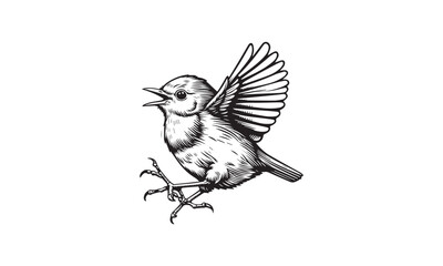 Sparrow logo design 