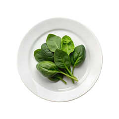 Spinach leaves on a white plate on a transparent background.