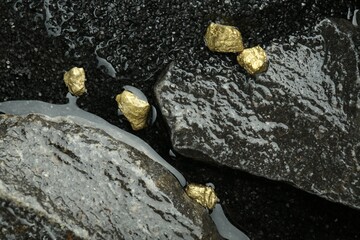 Shiny gold nuggets on wet stones, top view