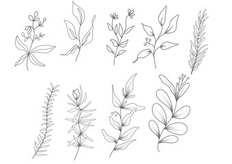 black and white flowers