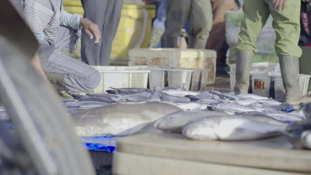 Fish traders who are busy with various trading activities