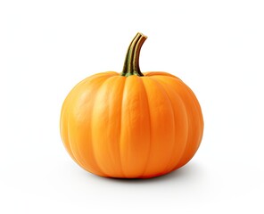 pumpkin on a white background