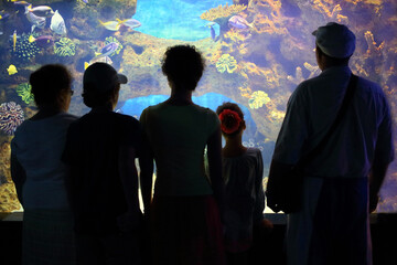 Silhouettes of three adults and two children in front of a large aquarium with colorful fish
