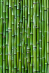 Background Texture Pattern in the Style of Bamboo Zen - Clean lines and natural growth patterns for a peaceful vibe created with Generative AI Technology