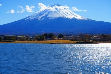 Day view of the snow-capped Mount Fuji in the fall in Lake Kawaguchi (Fujikawaguchiko), Japan - 751656610