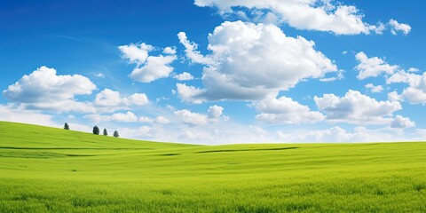 Beautiful grassy fields and summer blue sky with fluffy white clouds in the wind. Wide format. - obrazy, fototapety, plakaty