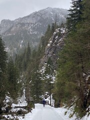 Snowy trail with Mountain View&rsquo;s 