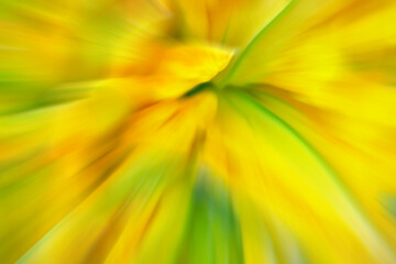 Blurred photo of green and yellow flowers, abstract colorful background or wallpaper.
