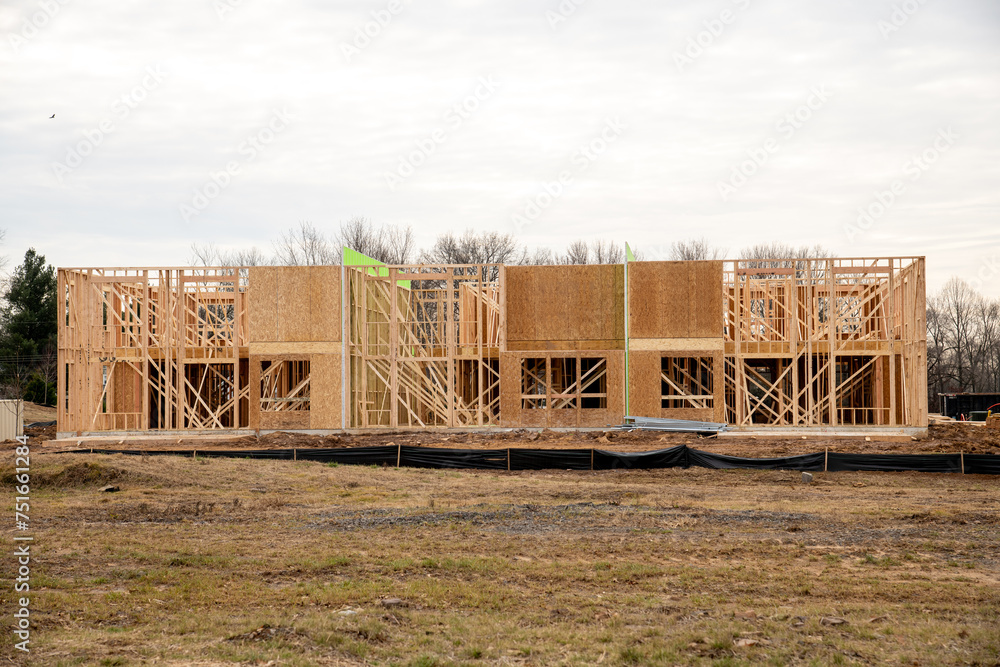 Wall mural frame and walls of a plywood house