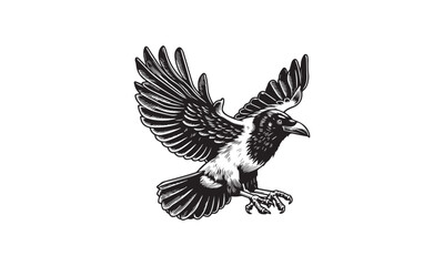 Crow, crow design, crow flying, crow logo design 