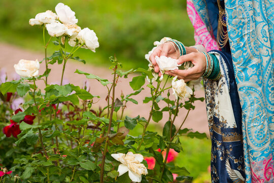 Woman hands in lacy clothes touching petals of white roses in bud in park