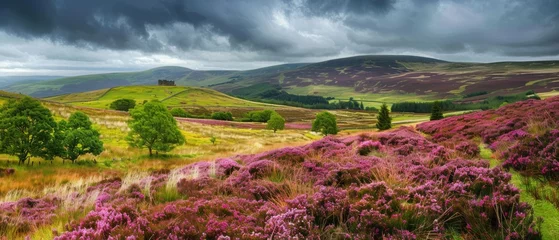 Plaid mouton avec photo Marron profond Moorland or Moor, Wuthering Heights, Heather Fields and Hills, Castle on Mountains, Copy Space