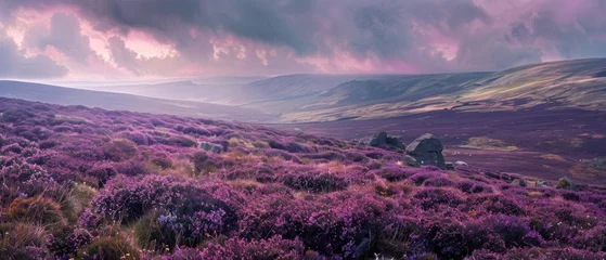 Abwaschbare Fototapete Lavendel Moorland or Moor, Wuthering Heights, Heather Fields and Hills, Castle on Mountains, Copy Space