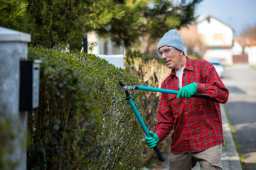 Gardener pruning tree with pruning shears