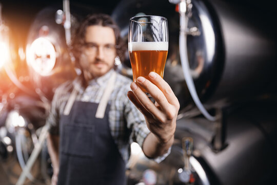 Expert brewer in apron holds glass of craft beer and checking quality and color. Worker man sommeliers taste drink on brewery factory