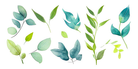Green Watercolor Leaves Collection Isolated On White. Set of graphical elements with various leaf designs in different shapes and sizes. Flat design, varies different of plant botanical
