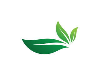 Leaf colorful inspiration gradient logo. leaf logo design vector