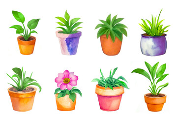 Collection Of Small Indoor Plants In Various Decorated Pots. Watercolor Set Indoor Houseplants Isolated On White. Home Indoor Design