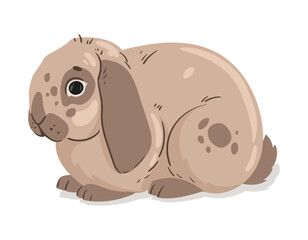 Cute bunny. Spring Easter rabbit, cute eared hare animal, fluffy domestic bunny flat vector illustration set. Easter holiday rabbits on white