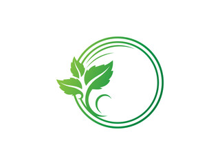 Leaf logo gradient colorful design. leaf logo vector