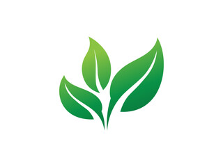 Leaf logo gradient colorful design. leaf logo vector