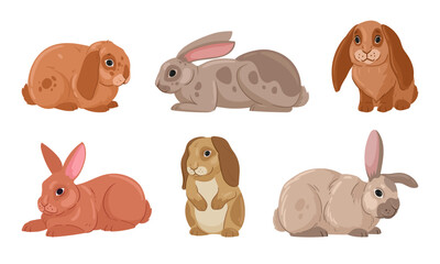 Spring Easter rabbits. Cartoon cute bunny, wildlife eared hare animals, fluffy domestic bunnies flat vector illustration set. Easter holiday rabbits collection