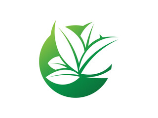 Leaf logo gradient colorful design. leaf logo vector