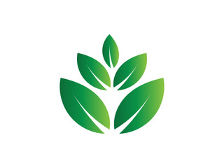 Leaf logo gradient colorful design. leaf logo vector