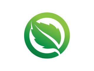 Leaf logo gradient colorful design. leaf logo vector