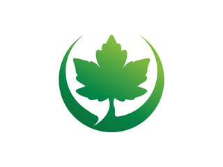 Leaf logo gradient colorful design. leaf logo vector