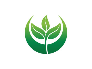 Green Leaf logo gradient colorful design