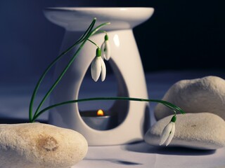 Zen aromatherapy oil burner with snowdrop flowers