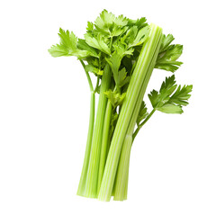Stick of celery isolated on transparent background