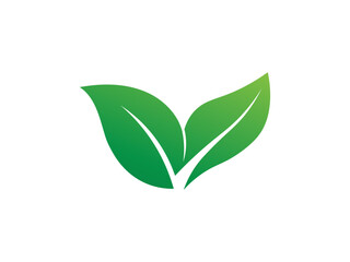Leaf logo gradient colorful design illustrations