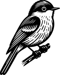  Acadian Flycatcher icon 