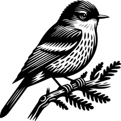  Acadian Flycatcher icon 
