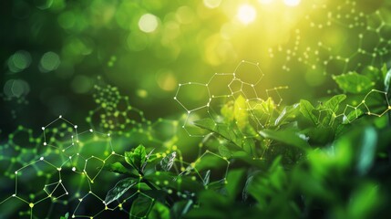 Implementing green chemistry principles for a greener future
