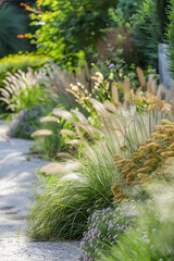 Herbs in a modern garden, natural style garden