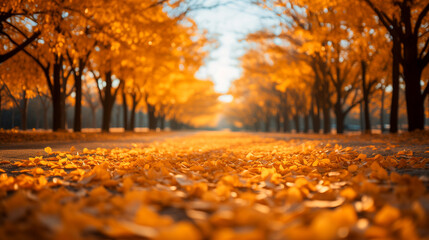 Autumn leaves in park background. Yellow maple leaf over blurred texture with copy space. Concept of fall season. Golden autumn card