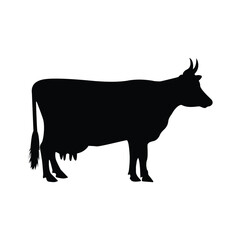 black cow vector