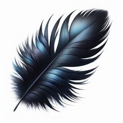 Brightly feather, isolated over on white background 